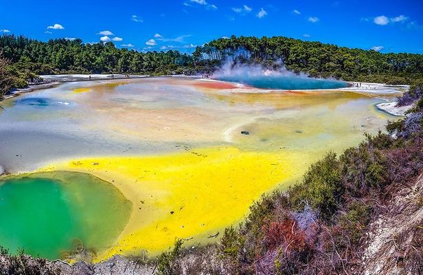 Rotorua Highlights Tour from Auckland with Optional Extras