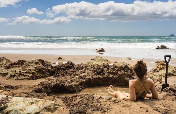 Cathedral Cove, Hot Water Beach & Coromandel Small-Group tour