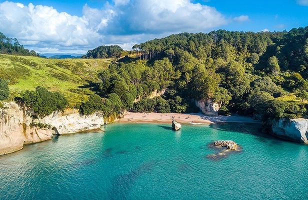 Cathedral Cove & Hot Water Beach Small-Group Tour From Auckland