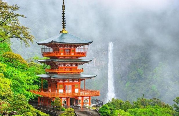 Kumano Kodo Pilgrimage Full-Day Private Trip with Government Licensed Guide