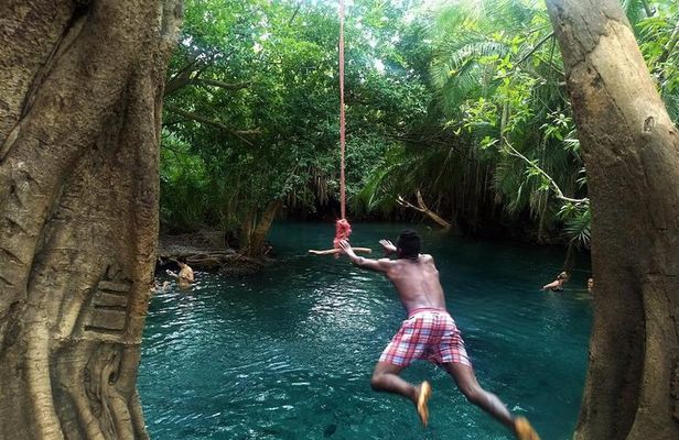 Kikuletwa Chemka Hot Spring Day Tour from Arusha