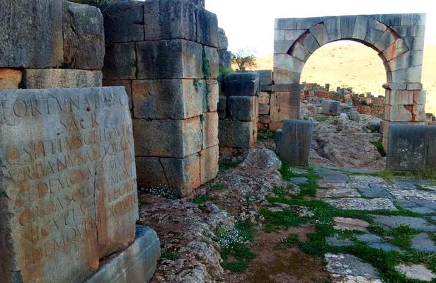 "Tiddis' Best" Tour by Fancyellow