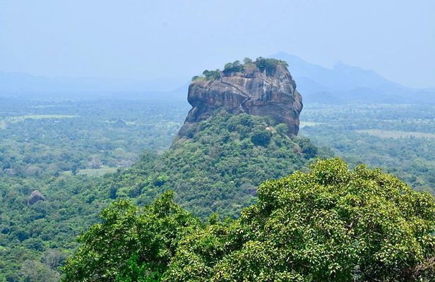 Sigiriya and Dambulla Day Tour | From Kandy