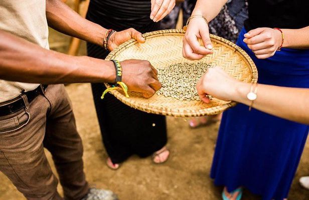 Coffee Tour Experience from Arusha