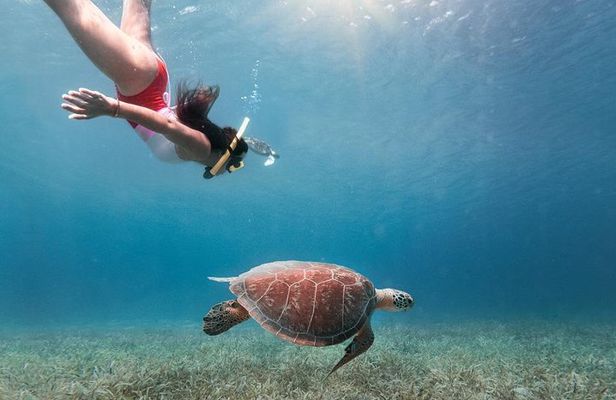 Culebra Island Snorkel and Turtle Adventure with Ferry Transport