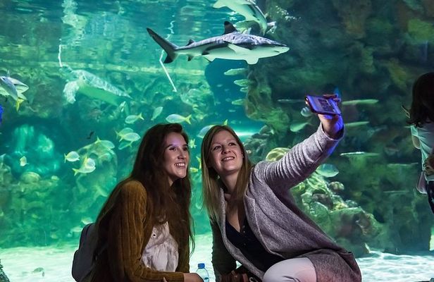 SEA LIFE Brighton Admission Ticket