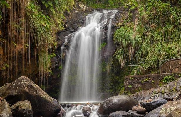 Waterfalls Adventure Hikes in St. George's, Grenada