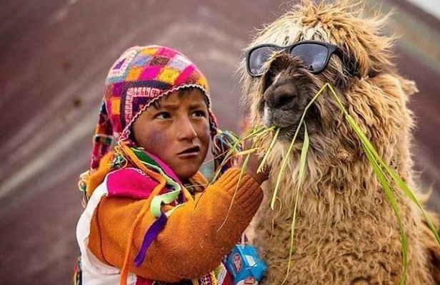 5 Day Incredibles Machu Picchu -All Included- in Cusco & rainbow mountain