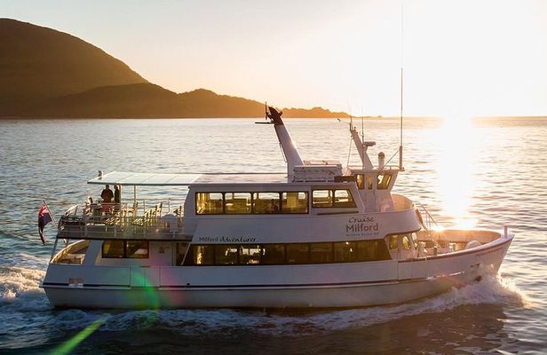 Premium Milford Sound Tour, Cruise & Lunch from Te Anau