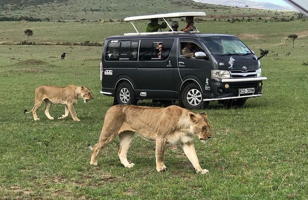 Amazing 9 Days Kenya and Tanzania Budget Safari