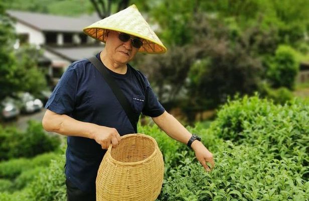 Hangzhou Longjing Tea Culture Immersive Experience Tour