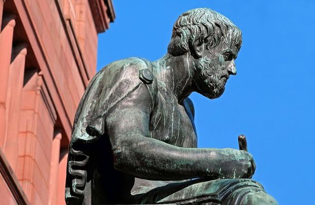 Explore Freiburg’s Art and Culture with a Local