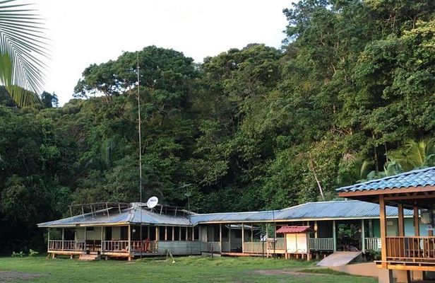 2-Day Tour in Corcovado, Sirena and San Pedrillo Stations