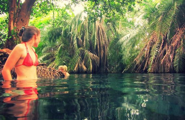 Kikuletwa Hotspring Day Tour