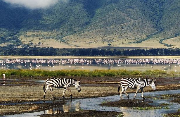 Ngorongoro Day Trip