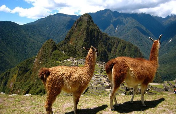Machu Picchu Day Tour from Cusco Small Group