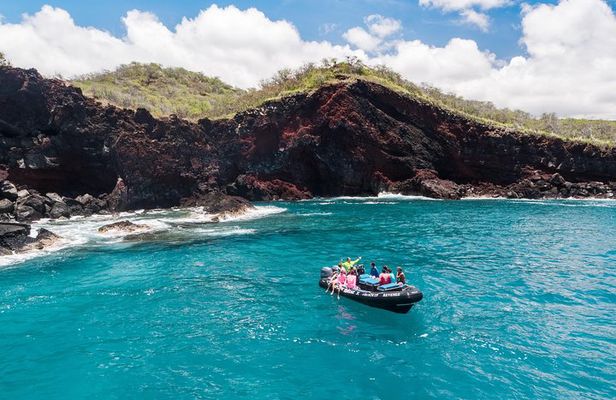 Kona Snorkeling: Beat the Crowd to Kealakekua Bay