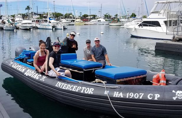 Pelagic Wildlife Excursion