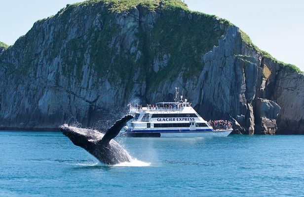 Full-Day Kenai Fjords National Park Cruise