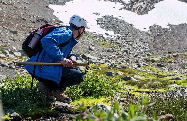 Whistler Glacier Discovery Tour