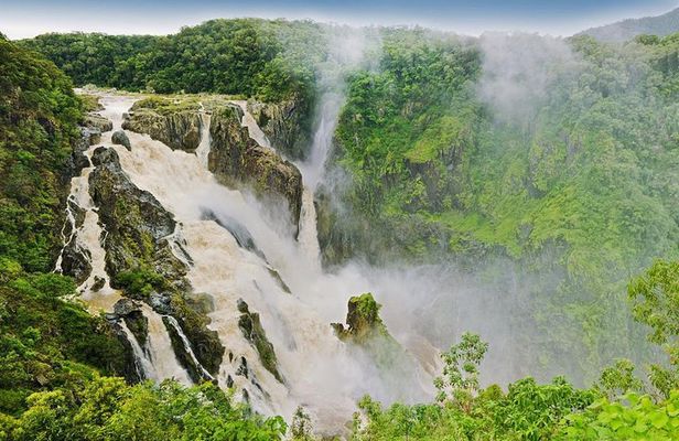Private Half Day Tour: World Heritage Rainforest & Waterfall