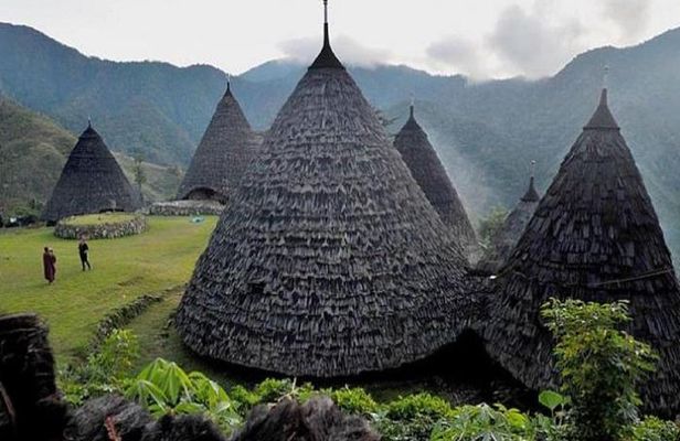 2Days - Cultural Tour to Wae Rebo Village