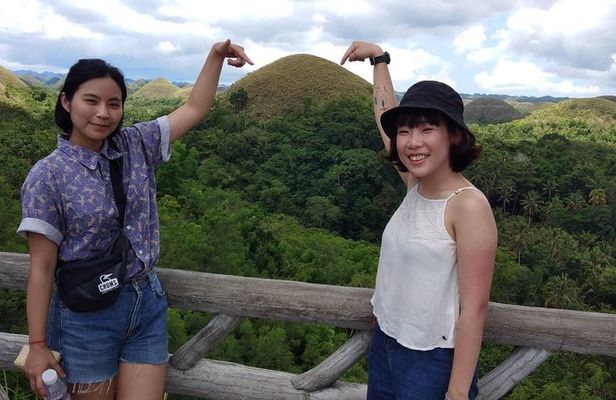 Chocolate hills tour with Tarsier & Loboc river Buffet Lunch (half-day tour)