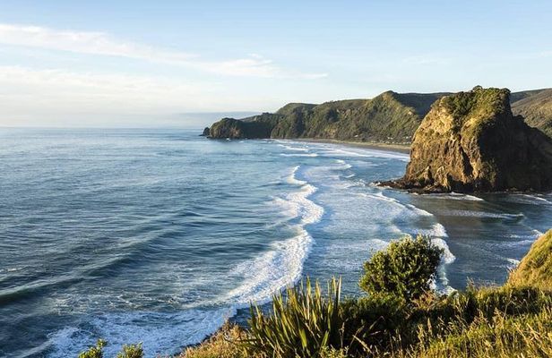 West Coast Discovery - Piha Beach or Muriwai Beach from Auckland