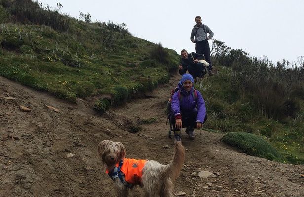 Ruco Pichincha Summit Hike 