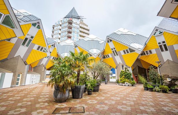 Explore the Instaworthy Spots of Rotterdam with a Local
