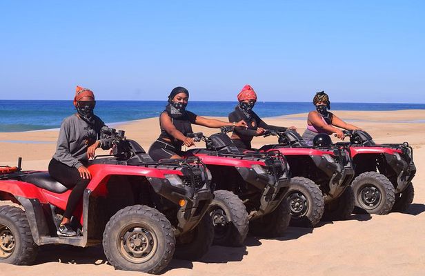 Cabo Candelaria Village Adventure + Tequila Tasting