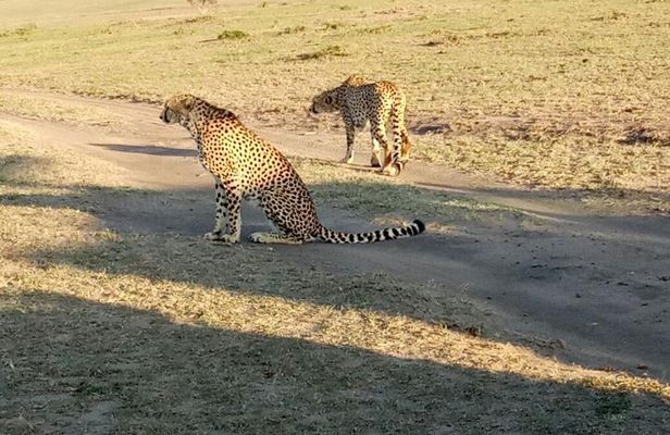 7 Days in Masai Mara- Lake Nakuru- Lake Naivasha- Amboseli National Park