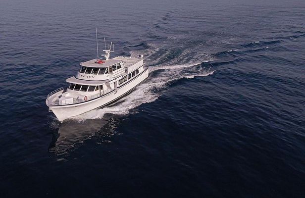 San Diego Whale Watching 3 Hour Tour Mission Bay on the Legacy