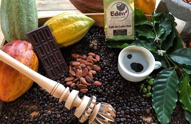 Eden Mocca Tour