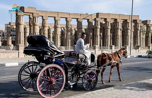 Luxor City Tour By Horse Carriage in Egypt