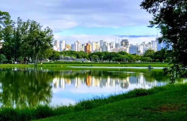 Amazing São Paulo overview in 4 or 5 hours with a private guide
