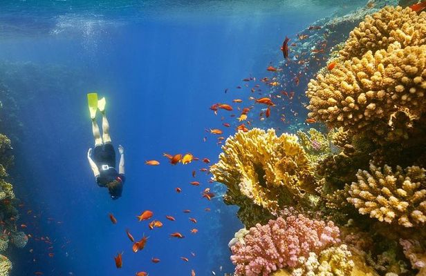 private over day tour From Luxor to Hurghada