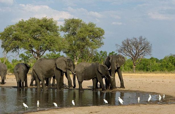 Hwange National Park 3 Days Package