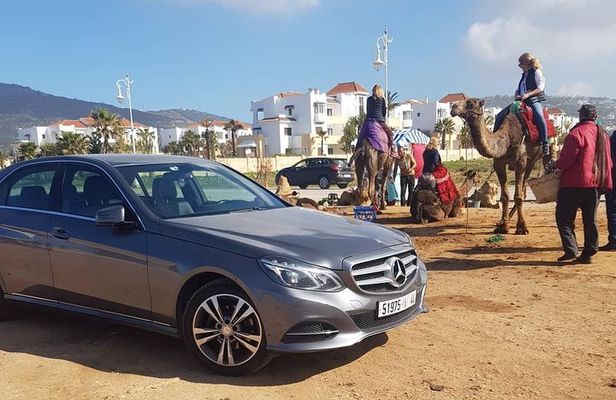 Camel ride experience &Sightseeing tour 