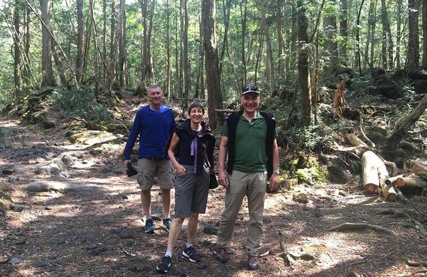 Experience the Stunning Nature of Mt.Fuji - Private Tour