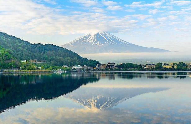 Experience the Stunning Nature of Mt.Fuji - Private Tour