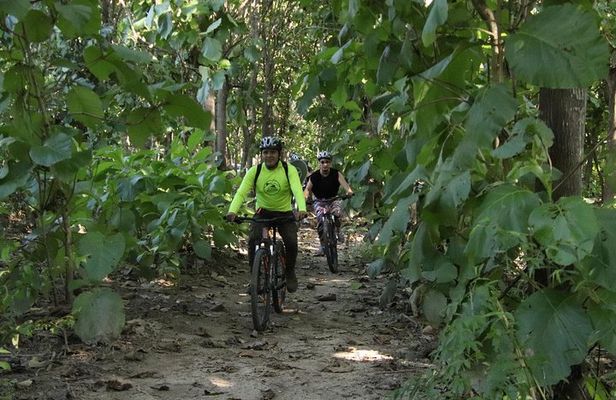 Jungle Bike Tour