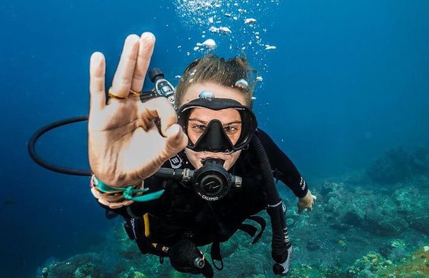 Open Water Course in Tulamben - Get Certified in Bali