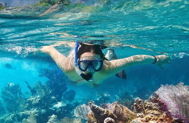 Koh Tao and Koh Nangyuan Snorkeling Tour by Speedboat from Ko Samui