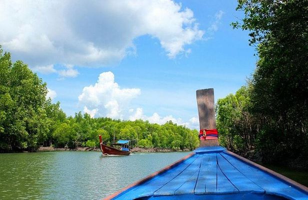 Tung Yee Peng Mangrove Forest Tour By Longtail Boat From Koh Lanta