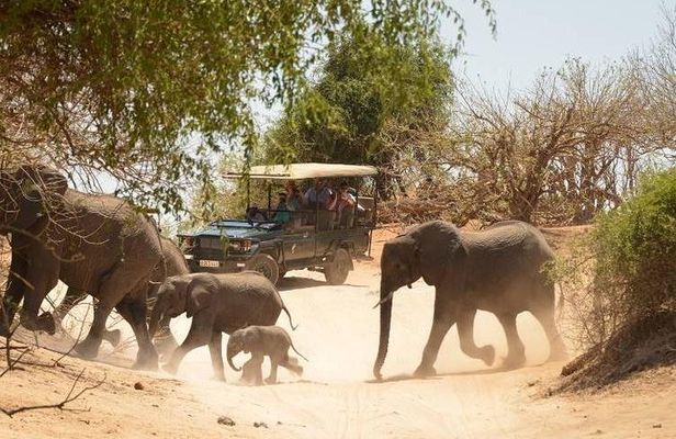 2 Days in Hwange National Park from Victoria Falls
