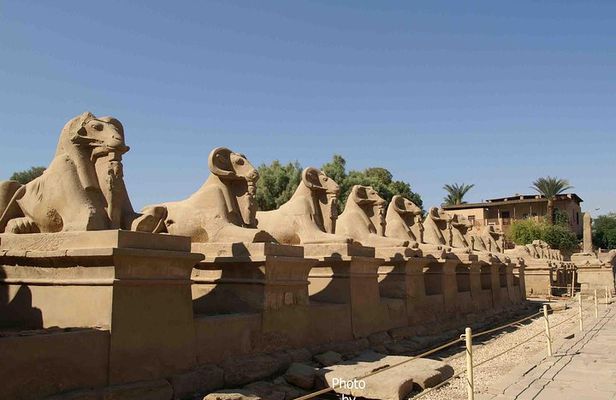 Full day tour at Luxor (East bank&West bank)