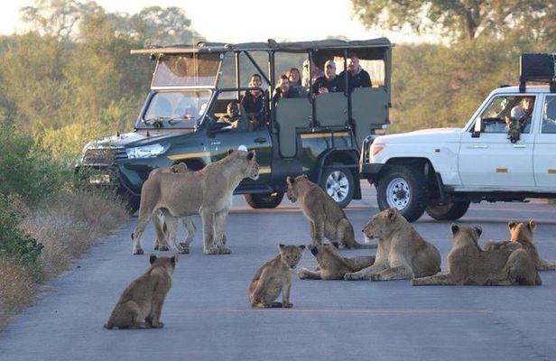 All Inclusive 3 Day Kruger Safari Adventure From Johannesburg