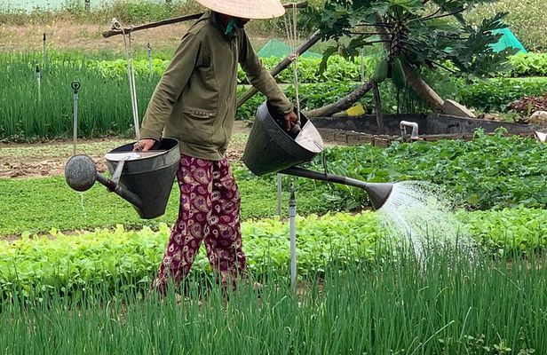 Full Experience Tour: Cooking Class & Basket Boat at Eco-Village