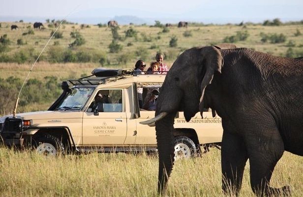 3 Days Maasai Mara Adventure